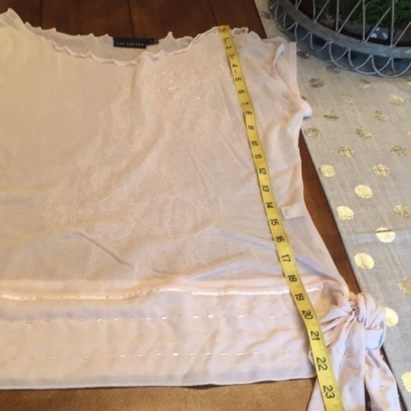 THE LIMITED PINK Sheer Top - The Ltd. - Picture 6 of 7